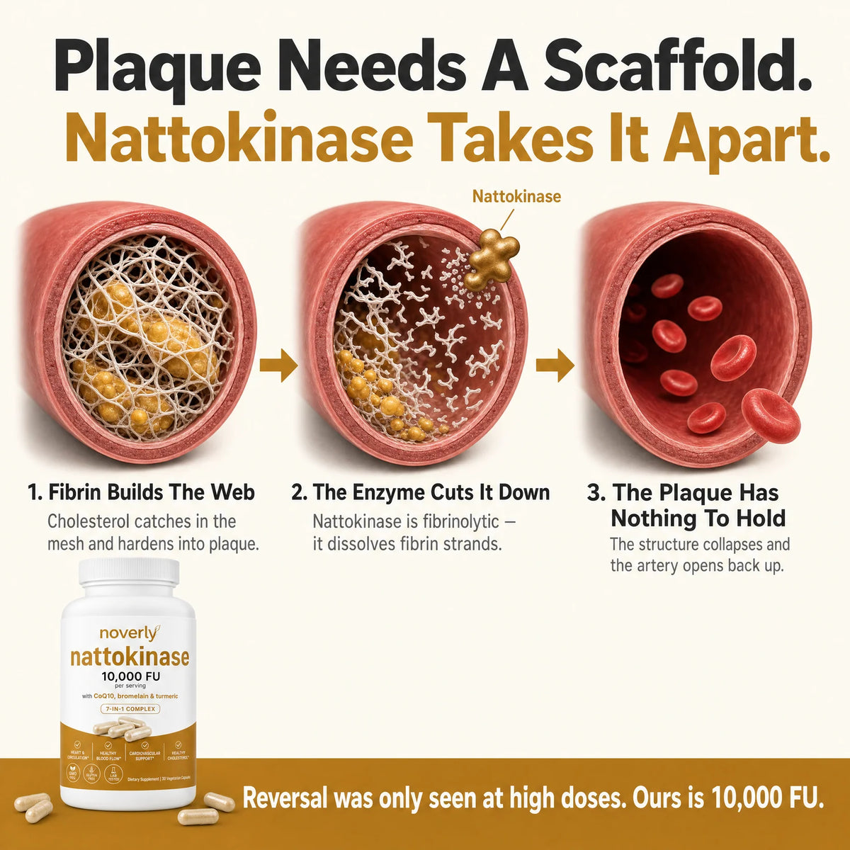 Nattokinase Max Potency 10,000 FU Capsules
